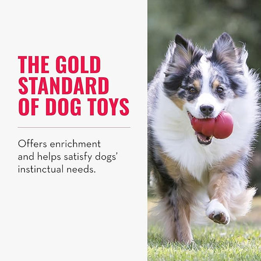 KONG Classic Stuffable Dog Toy - Fetch & Chew Toy for Dogs - Treat-Filling Capabilities & Erratic Bounce for Extended Play Time - Durable Natural Rubber Material - for Large Dogs