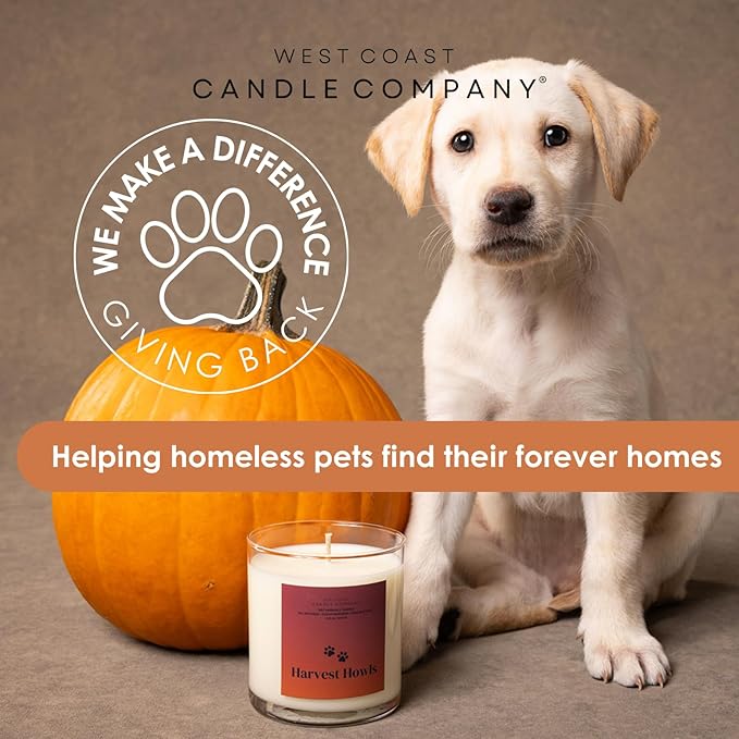 Pet Friendly All Natural Wax Melts - Non-Toxic, Dog Safe, Odor Eliminator - Pure Soy, Veterinarian Approved (Harvest Gathering)