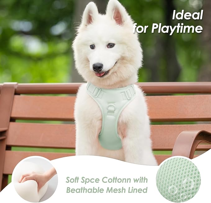 No Pull Dog Harness, Puppy Vest with Front Clip for Small Medium Large Sized Dog(Light Green,S)