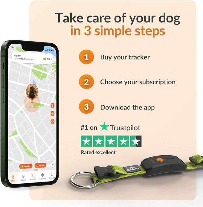 Weenect Dog XT - New GPS Collar for Dogs | XL Antenna | Waterproof | Ultra-Durable Integrated Julius-K9 Collar | Subscription Required