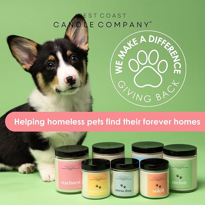 Pet Friendly Wax Melts | Pet Safe Wax Melts | All Natural Dog Safe Wax Melts | Non-Toxic Wax Melts | Pet Odor Eliminator | Pure Soy Wax Melts | Veterinarian Approved (Alpine Ridge)