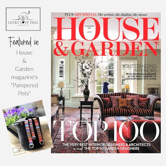 Lucky Love Dog Combo Set, Colorful Striped Dog Collar & Leash Set, Matching Collar and Leash for Large Girl or Boy Dogs, Nacho Combo, Large