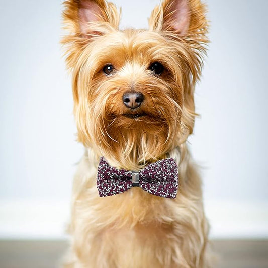 Crystal Pet Bowties, 10 PCS Adjustable Dog Collar Attachment Rhinestone Bling Bowties, Pet Collar Charms Accessories, Birthday Gift for Big Cat Puppy Small Medium Dogs(Small)