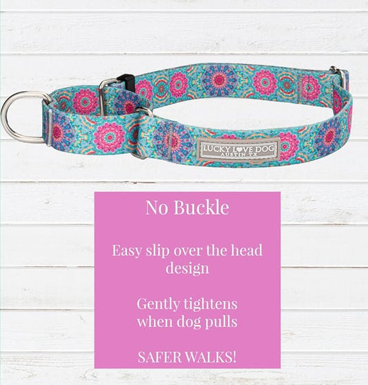 Lucky Love Dog, Boho Chic Martingale Dog Collar for Girl Boy Dogs, Premium No Slip Collar and Leash Set, Vivid Pink and Turquoise Martingale Collar for Dogs (Medium, Clara Mart - Combo)