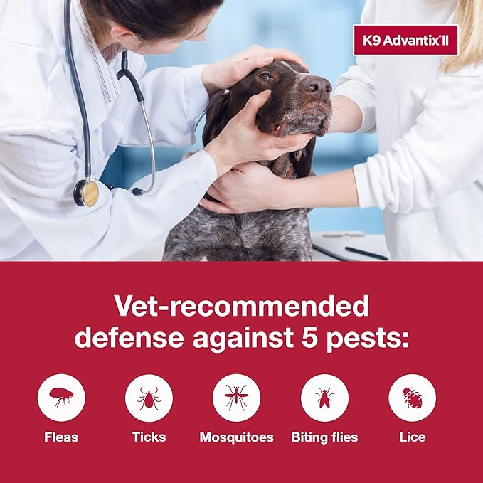 K9 Advantix II XL Dog Vet-Recommended Flea, Tick & Mosquito Treatment & Prevention | Dogs Over 55 lbs. | 6-Mo Supply