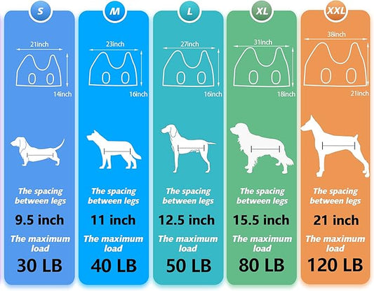 Pet Dog Grooming Hammock Harness for Nail Trimming (M 40lb), Dog Sling for Cutting Nail, Dog Hanging Holder Hanger for Clipping Nail with Nail Clippers, Nail File, Pet Comb