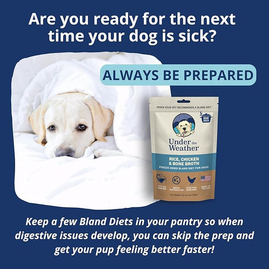 Under the Weather Bland Diet for Dogs | Easy to Digest for Sick Dogs |Always Be Ready| Contains Electrolytes - All Natural Freeze Dried 100% Human Grade Meats| 1 Pack- Chicken, Rice & Bone Broth - 6oz