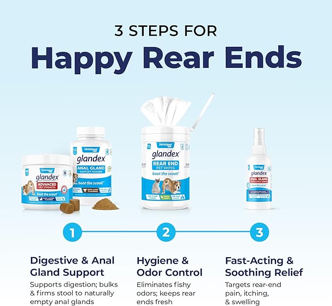 Glandex Anal Gland Soft Chew Treats with Pumpkin for Dogs Digestive Enzymes, Probiotics Fiber Supplement for Dogs Boot The Scoot (Peanut Butter Chews, 30ct)