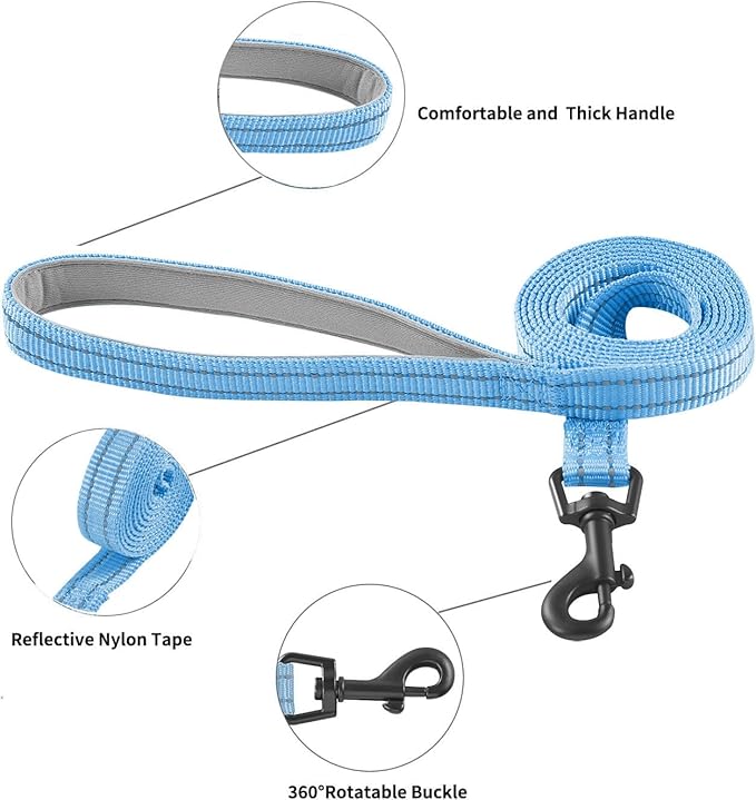 Dog Harness and Leash Set, No Pull Soft Mesh Puppy Harness for Small Medium Dogs, Cats - Step in Reflective Breathable Lightweight Vest Harness for Walking, Training - Blue, XS