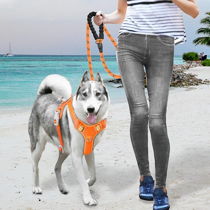 BARKBAY No Pull Dog Harness Large Reflective Dog Harness with Front Clip and Easy Control Handle for Walking Training Running with ID tag Pocket(Orange,XL)
