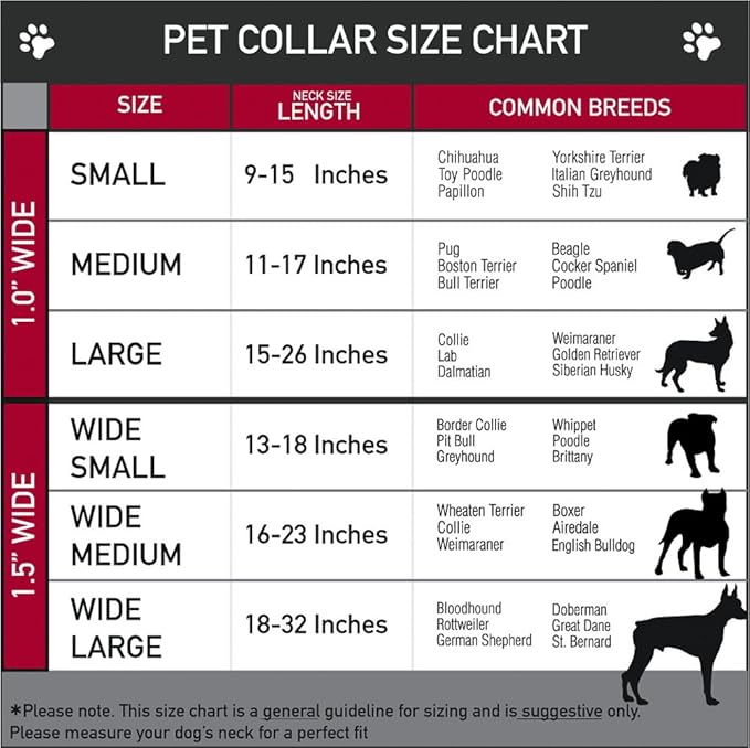 Buckle-Down Seatbelt Buckle Dog Collar - Dug 3-Poses/SQUIRREL! Brown/Yellow/White - 1" Wide - Fits 9-15" Neck - Small