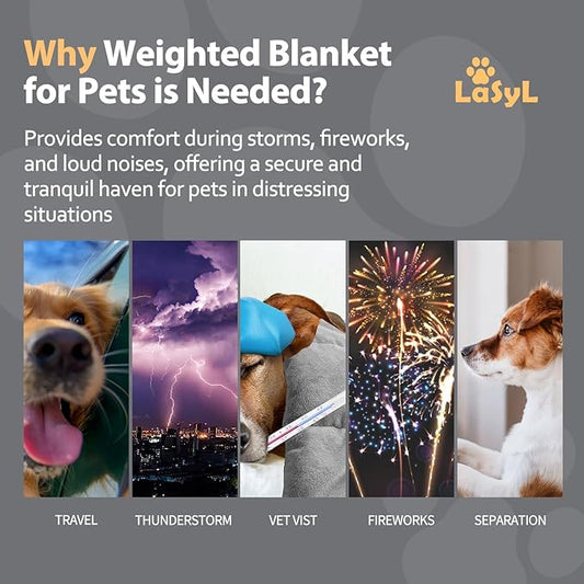 LaSyL Weighted Blanket for Pets | Thunder Blanket for Dogs Anxiety | Premium Soft Minky | Relaxation & Calming & Anti Anxiety | Used in Car, Bed, Couch | Dark Grey, Washable Medium 32" L x 40" W