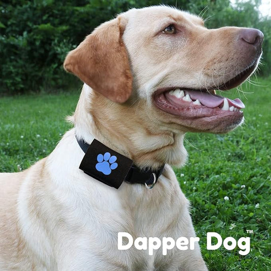 Dapper Dog Pet Tag Silencer and AirTag Holder (Black with Blue Paw)
