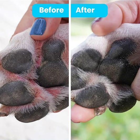 Pawtitas Paw Balm for Dogs Certified Organic Ingredients Moisturizer for Cracked, Burn Pads, Paw Balm Travel Size Stick 0.15 oz / 4.5 ml