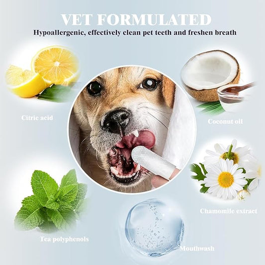 Pet Steam Brush for Dog & Cat – 3-in-1 Spray Hair Removal Comb – Steam Brush for Shedding & Grooming – Spritz Defur Comb – Includes Waterless Shampoo & Dental Wipes