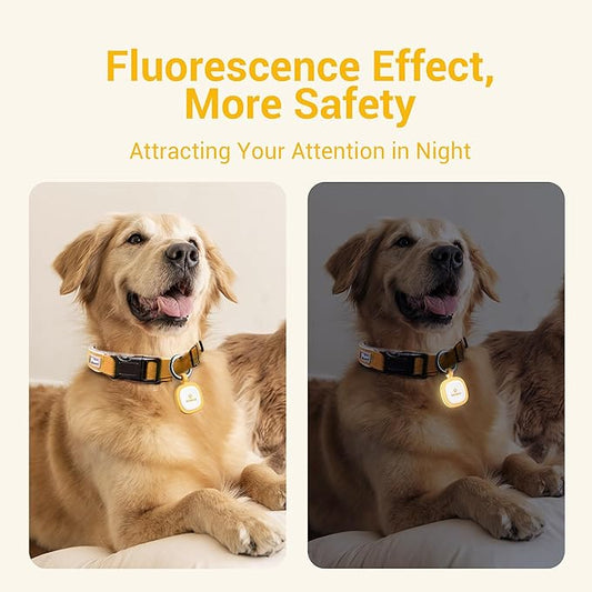 Pawaii Fluorescent QR Code Pet ID Tag, Glow in The Dark Durable Silent Silicone Pet ID Tag, Scan QR Receive Instant Pet Location Alert Email, Designs for Cat or Dog, 1Pack (Orange)