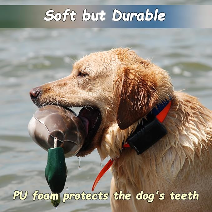2 Pcs Duck Dummy Bumper Toys for Hunting Retriever Dog Training, Dog Retriever Outdoor Training Toy ,Hunting Duck Recognition Trainers, Foam Pet Interactive Toys