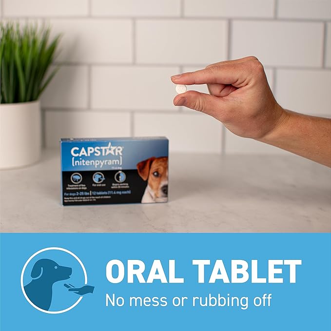 Capstar (Nitenpyram) Fast-Acting Oral Flea Treatment for Dogs 2-25 Lbs, Vet-Recommended Medication Tablets, Flea Tablets for Dogs Start Killing in 30 Minutes, 12 Doses