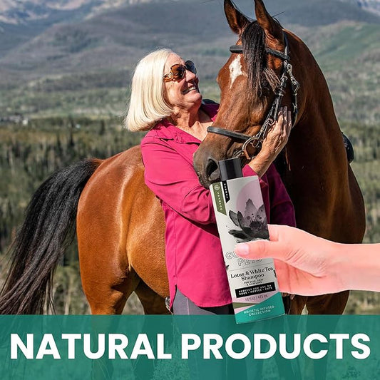 Holistic Natural Derived Lotus and White Tea Pet Shampoo: Veterinarian Recommended - Remove Dirt, Cleanse and Restore Your Dog, Cat or Horse Coat - Made in USA - 16 oz