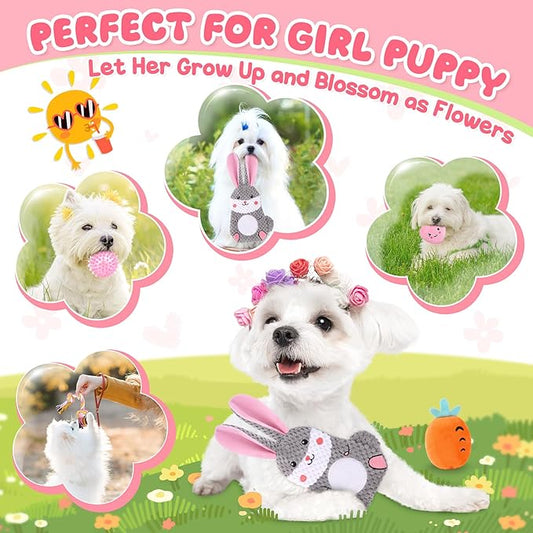 Zeaxuie Pink Puppy Toys for Teething, 9 Pack Small Dog Toys with Cute Puppy Chew Toys, Squeaky Crinkle Dog Toys, Treat Ball and Interactive Rope Toys