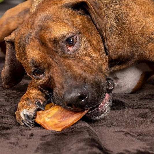 Pet Factory Real Chewz Premium Pig Ears Dog Chew Treats, 100% All-Natural - 7 Count/1 Pack