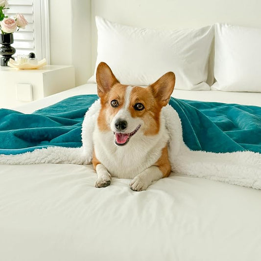 Bucephalus Waterproof Dog Blanket, Thick Reversible Soft Pet Blankets for Couch Bed Protection, Pee Proof Sherpa Fleece Blanket for Small Medium Large Dogs Puppy Cats Washable (Teal, 50"×60")
