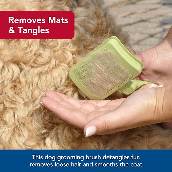 Coastal Pet Safari Dog Self-Cleaning Slicker Brush - Dog Deshedding Brush - Prevents Mats and Tangled Hair - For Dogs with Short or Long Hair - Large - 8" x 4.5"