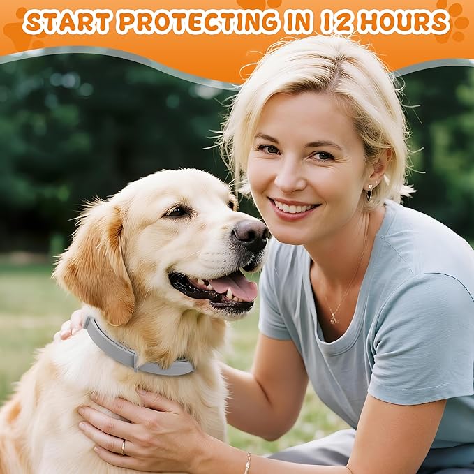 4 Pack Effective Flea Collar for Dogs, 25" Adjustable Natural Pet Flea and Tick Prevention Collars for Large Medium Small Dogs, Waterproof Fleas Ticks Collar for Puppies, 32 Months Protection, Gray
