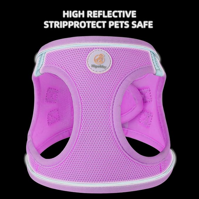 Dog Harness and Leash Set, No Pull Soft Mesh Puppy Harness for Small Medium Dogs, Cats - Step in Reflective Breathable Lightweight Vest Harness for Walking, Training - Purple, XS