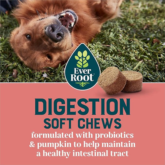 by Purina Digestion Dog Supplements Soft Chews - 10.6 oz. Canister