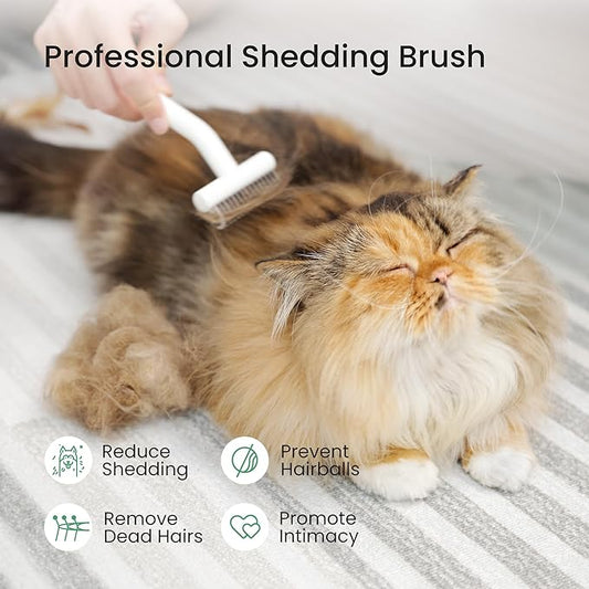 PawRake, Cat and Dog Brush for Shedding and Undercoat Dematting, Pet Grooming Tool for Medium to Long Hair Pets, Skin-Safe and Lightweight