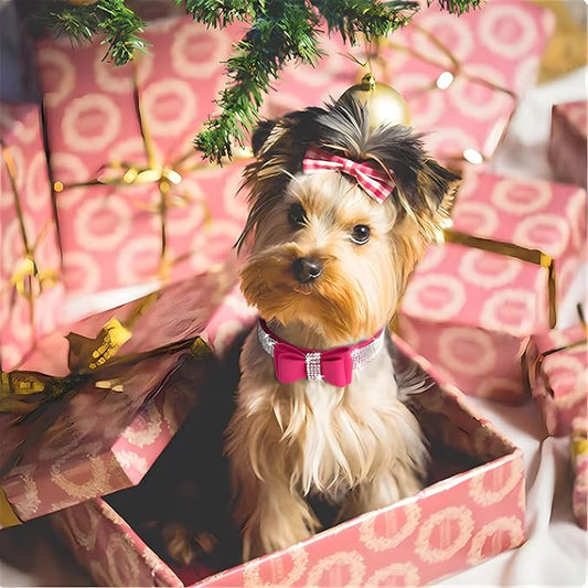 Rhinestone Bowtie Small Dog Collar and Leash Set, Diamond Puppy Collars Bow Crystal Bling Jeweled Glitter Girl Female Adjustable for XXSmall X-Small Small Medium Large Dogs (Red-1,XXSmall)