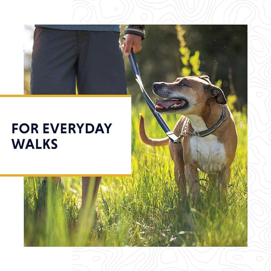 Ruffwear, Chain Reaction Dog Collar, Martingale Style for On-Leash Walking, Basalt Gray, 20"-26"