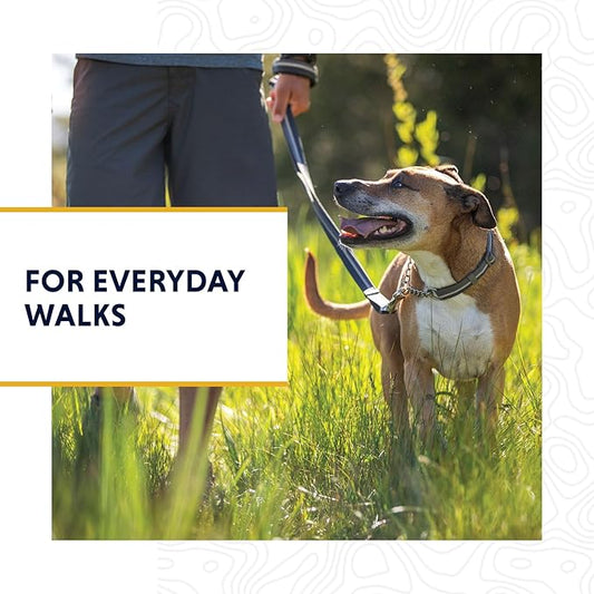 Ruffwear, Chain Reaction Dog Collar, Martingale Style for On-Leash Walking, Basalt Gray, 14"-20"