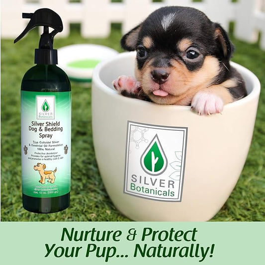 Silver Shield Dog & Bedding Spray | All Natural Colloidal Silver Dog Hygiene Spray