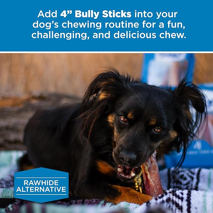 Best Bully Sticks 4 Inch Bully Sticks for Dogs - 100% Natural, Grass-Fed Beef, Dog Bully Sticks for Small Dogs and Puppies - Grain and Rawhide Free Bully Stick Dog Chews | 8 oz