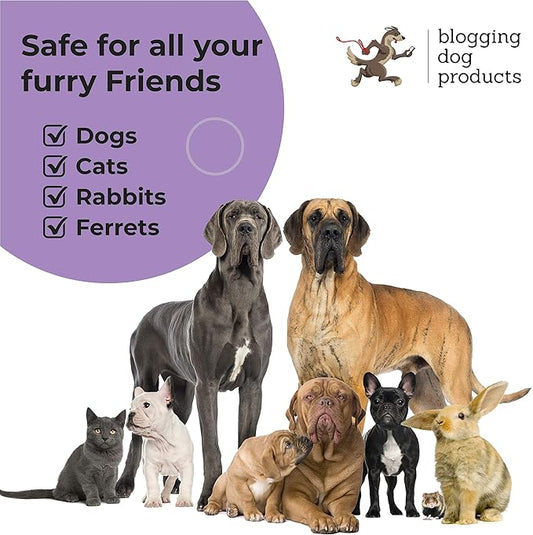 Dog Perfume Spray Long Lasting - Pet Odor Eliminator - Dog Cologne Spray - Premium Dog Deodorant Spray for Smelly Dogs - Refreshing Dog Deodorizer Spray for Grooming…