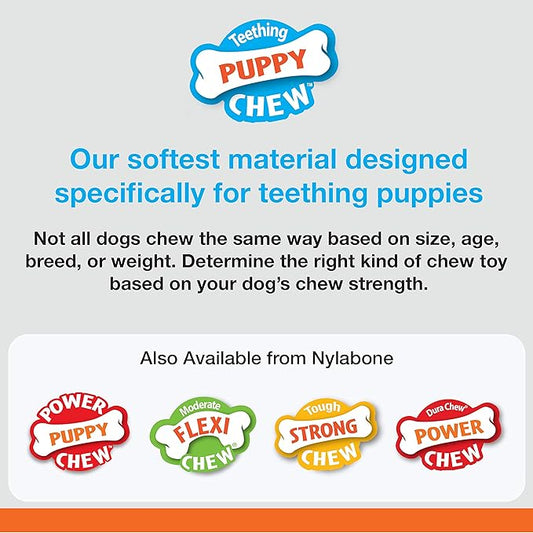 Nylabone Puppy Ring Bone Chew Toy - Puppy Chew Toys for Teething - Puppy Supplies - Chicken Flavor, Small/Petite (1 Count)