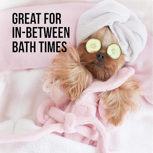 Natural Rapport Dog Deodorant Spray, The Only Between Bath Spray Dogs Need, Natural Cat and Dog Perfume Spray Eliminates Smelly Odours Between Baths (Female)