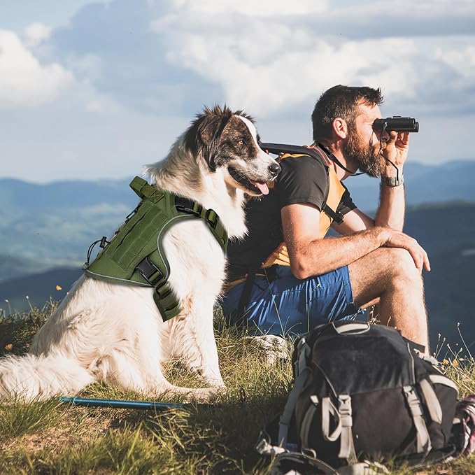 WINGOIN Green Tactical Dog Harness for Large Dogs, Heavy Duty No Pull Dog Harness with Handle, Adjustable Reflective Military K9 Big Pet Vest for Husky, Doberman, Walking, Training, Hunting (XL)