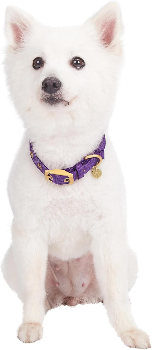 Blueberry Pet 6 Colors The Most Coveted Designer Mixed Metallic Thread Adjustable Dog Collar in Dazzling Tinsel Purple with Metal Buckle, Neck 13-16.5", for Medium Breed