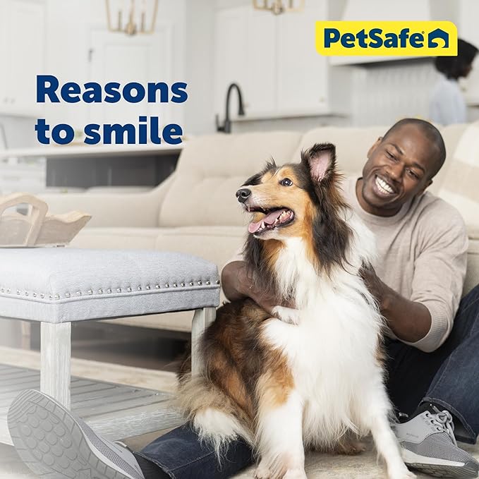 PetSafe Closing Panel Pet Door Cover - Durable, Plastic Dog Door Cover - Rust-Proof - Compatible with Select PetSafe Doors - Large