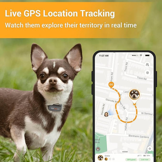 Lite for Small Dogs 4g GPS Tracker | Real Time Tracking | Activity Monitoring |Location History | Unlimited Range | Simply White