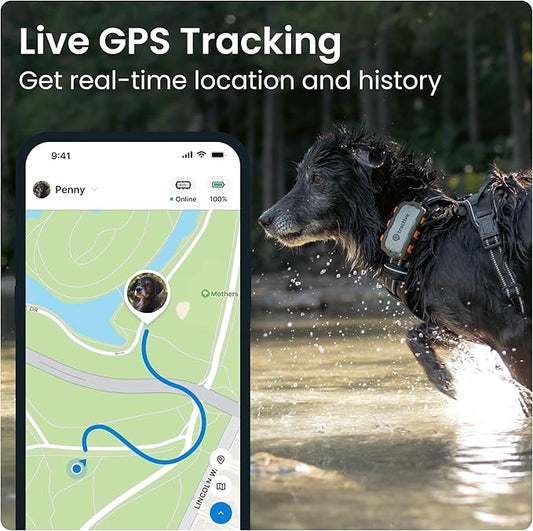 Tractive XL GPS Dog Tracker (50 lbs+) | Real-time Pet Location Tracker | Health & Wellness Alerts | Virtual Fence for Dogs | Dog Collar Attachment (Adventure Edition)