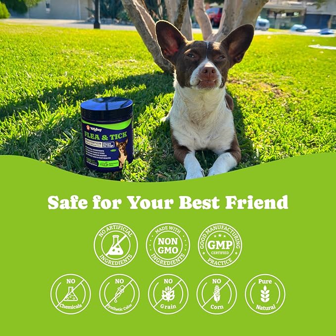 Flea & Tick Prevention for Dogs Chewables, YoYoBay Natural Dog Fleas and Ticks Control Supplement, Dogs Supplement, Natural Shield 5-in-1 Protection, Beef & Carrot Flavor, 180 Soft Chews *2 Pack
