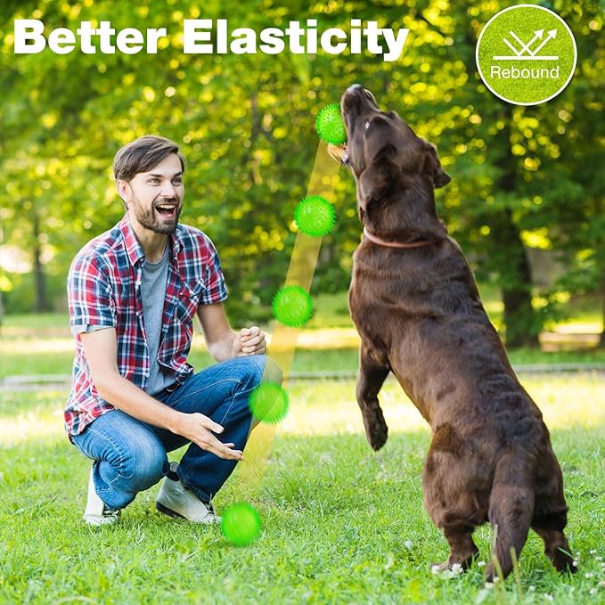 Puppy Toy 2.5” Squeaky Dog Balls Toys and Spikey Dog Ball for Aggressive Chewers for Small Dogs Dog Balls for Clean Teeth and Training (6 Pack