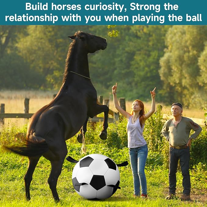 QDAN Herding Dog Balls Horse Ball - 25 inch Horse Toys Herding Ball for Dogs, Large Giant Ball Toys for Australian Shepherd Dog Toys, Black