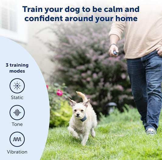 PetSafe 100 Yard Remote Training Collar – Smaller Version for Small or Medium Dogs – Choose from Tone, Vibration, or 15 Levels of Static Stimulation – Short Range Option for Training Off Leash Dogs