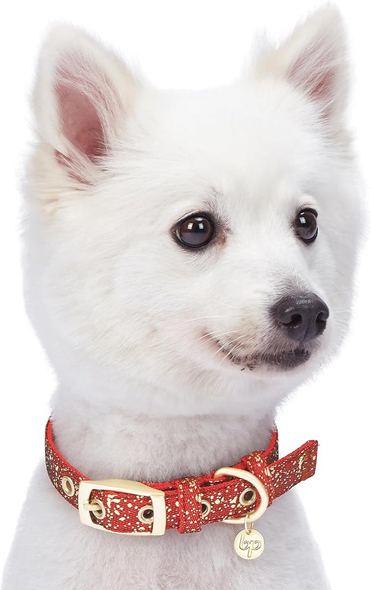 Blueberry Pet 4 Colors Glam Life Gold Stamping Lace Adjustable Dog Collar in True Red, Neck 13-16.5", for Medium Breed