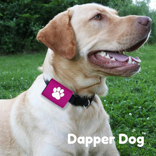 Dapper Dog Pet Tag Silencer and AirTag Holder (Purple with White Paw)